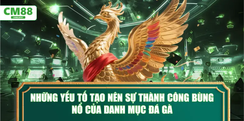 Những yếu tố tạo nên sự thành công bùng nổ của danh mục đá gà